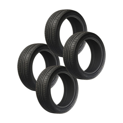 PNEU ARO 17 225/50R17 98W XL RA301 APTANY