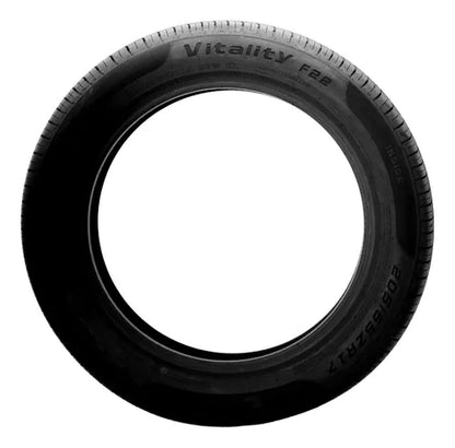 PNEU ARO 16 205/55R16 91V VITALITY F22 FORCELAND